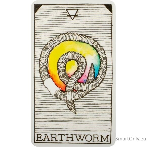 The Wild Unknown Pocket Animal Spirit kortos Harper One 2