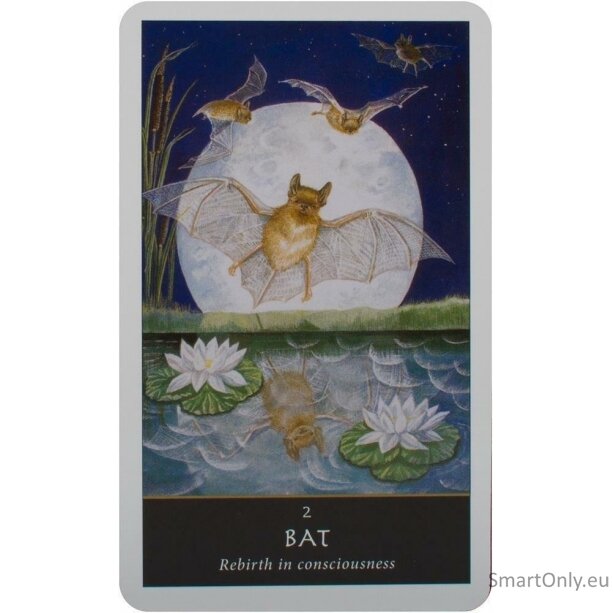 The Witches Oracle kortos Welbeck Publishing 1 The Witches Oracle kortos Welbeck Publishing 1