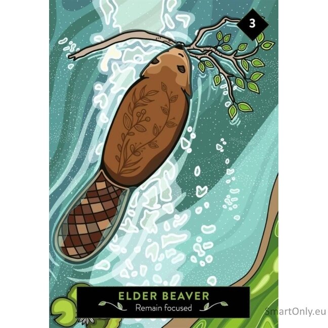 The Animal Elders Oracle kortos Hay House 2 The Animal Elders Oracle kortos Hay House 2