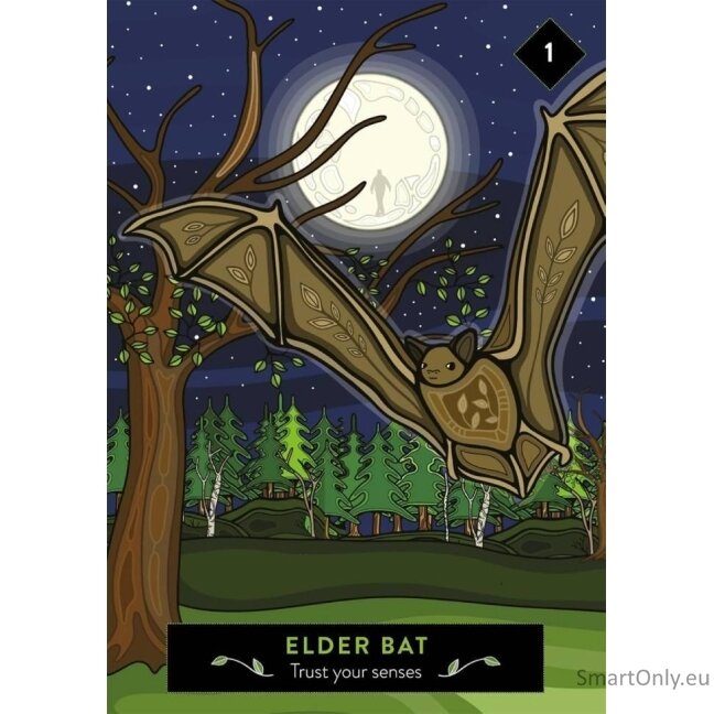 The Animal Elders Oracle kortos Hay House 3 The Animal Elders Oracle kortos Hay House 3