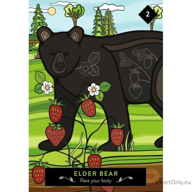 The Animal Elders Oracle kortos Hay House 4 The Animal Elders Oracle kortos Hay House 4