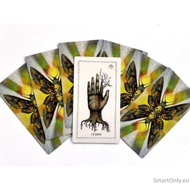 The Awakening Tarot : An Elemental Approach Kortos Schiffer Publishing 11