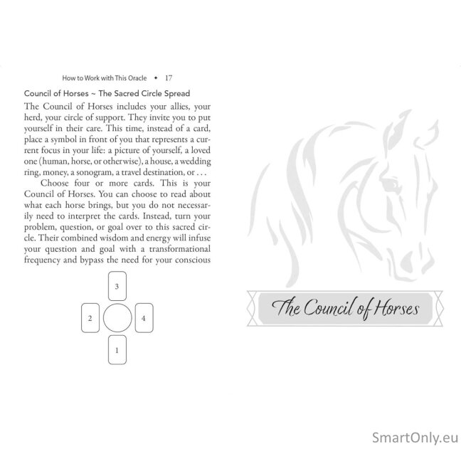 The Council of Horses Orakulo kortos Bear and Company 9