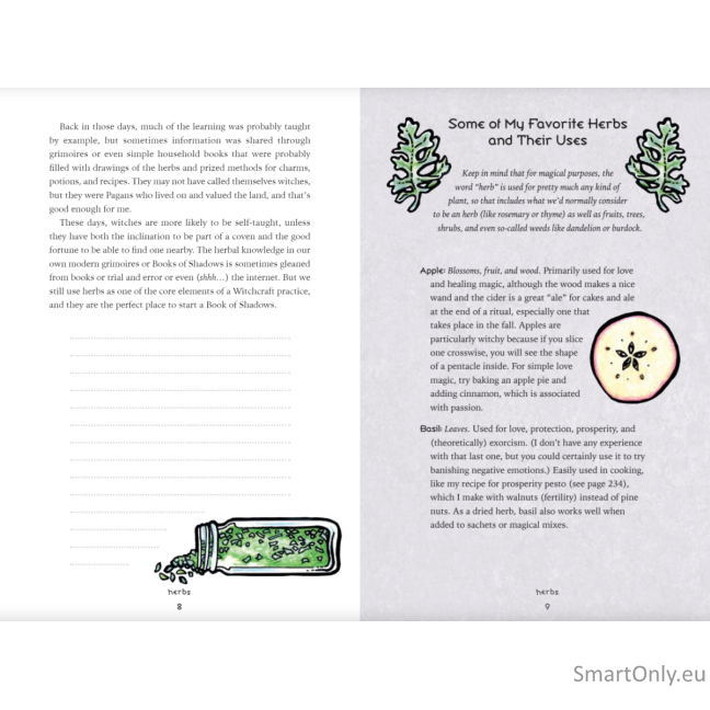 The Eclectic Witch's Book of Shadows knyga Llewellyn 6