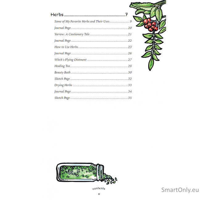 The Eclectic Witch's Book of Shadows knyga Llewellyn 1 The Eclectic Witch's Book of Shadows knyga Llewellyn 1