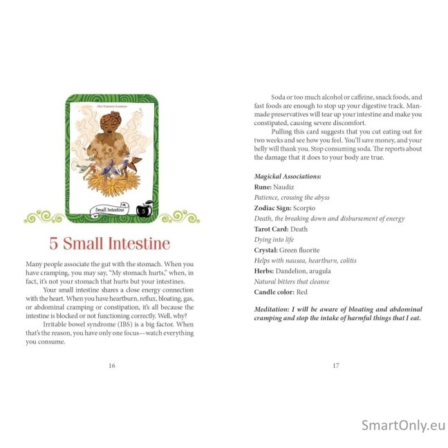 the Healthy Witch Orakulo kortos Schiffer Publishing 3 the Healthy Witch Orakulo kortos Schiffer Publishing 3
