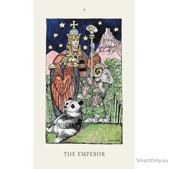 The Jolanda Witch Taro kortos Findhorn Press 1 The Jolanda Witch Taro kortos Findhorn Press 1