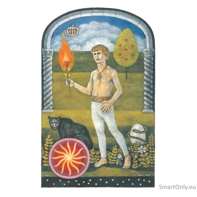 The Jungian Taro kortos US Games Systems 2