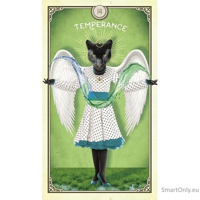 The Tarot of Curious Creatures kortos Hay House 1 The Tarot of Curious Creatures kortos Hay House 1