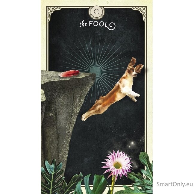 The Tarot of Curious Creatures kortos Hay House 4 The Tarot of Curious Creatures kortos Hay House 4