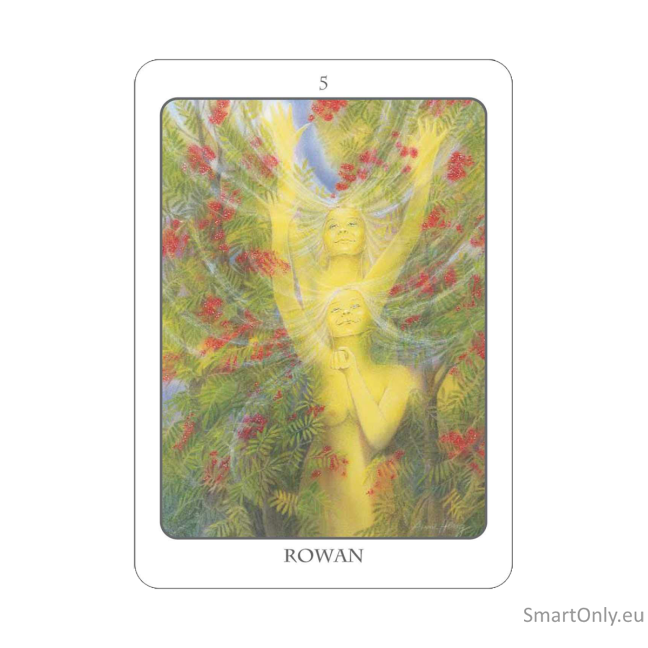 The Tree Angel Oracle kortų ir knygos rinkinys Earth Dancer 8