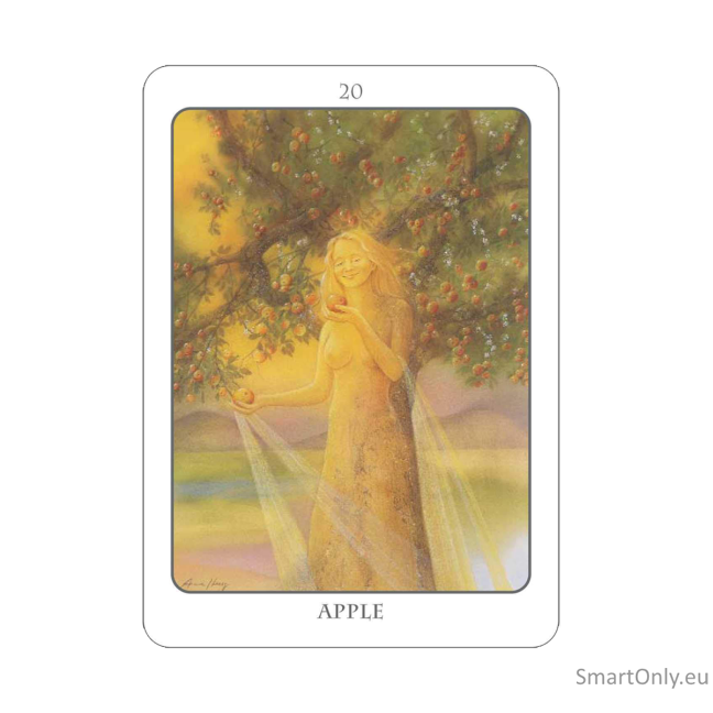 The Tree Angel Oracle kortų ir knygos rinkinys Earth Dancer 10 The Tree Angel Oracle kortų ir knygos rinkinys Earth Dancer 10