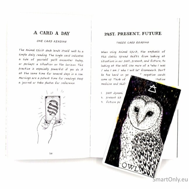 The Wild Unknown Animal Spirit Oracle kortų ir knygos rinkinys Harper One 10