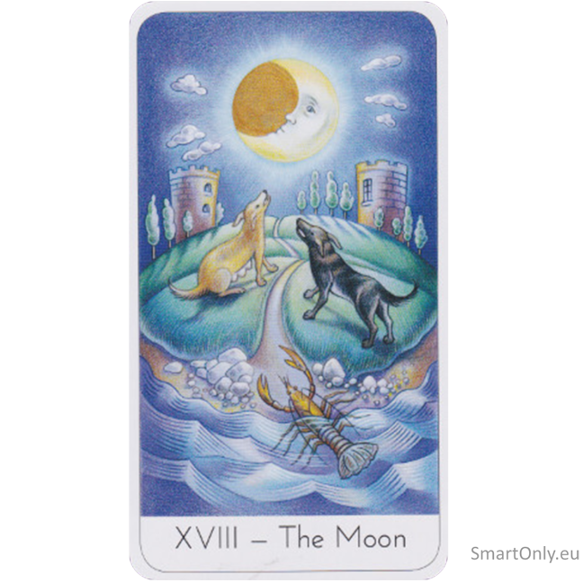 The Wisdom Seeker's Tarot kortos Watkins Publishing 11 The Wisdom Seeker's Tarot kortos Watkins Publishing 11