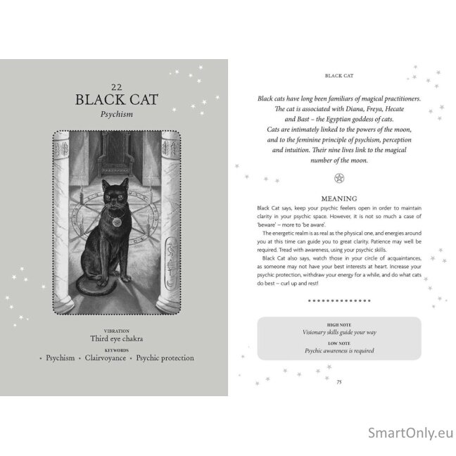 The Witches Oracle kortos Welbeck Publishing 7 The Witches Oracle kortos Welbeck Publishing 7