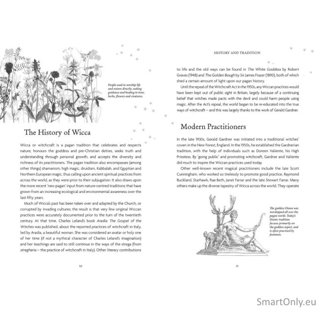 The Witches Oracle kortos Welbeck Publishing 9 The Witches Oracle kortos Welbeck Publishing 9