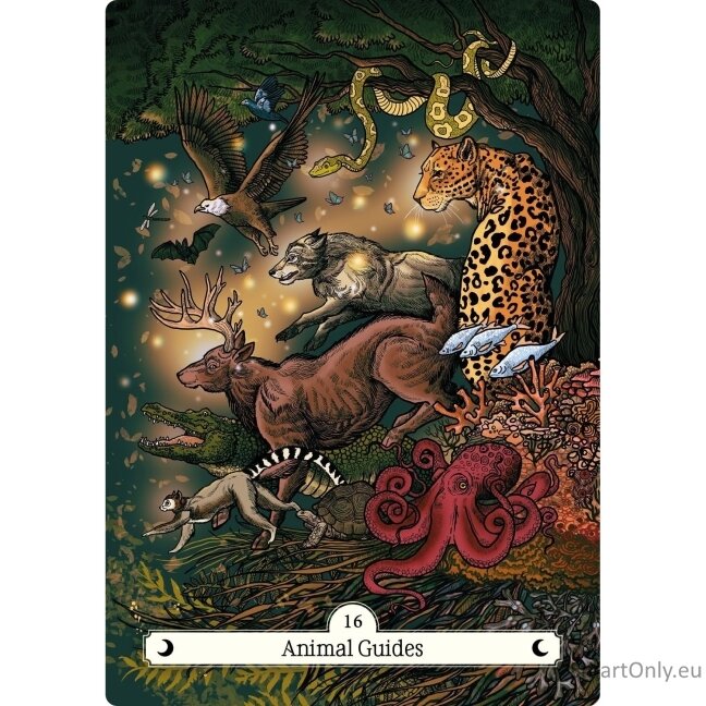The Witch's Way Home Oracle kortos Hay House 7