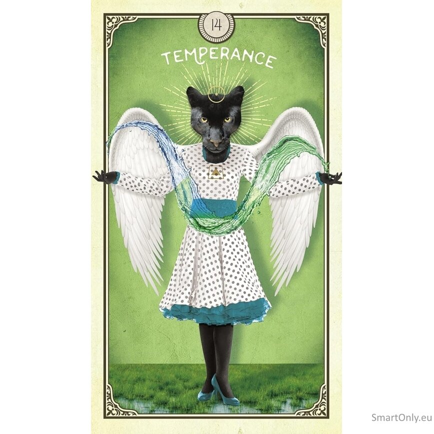 The Tarot of Curious Creatures kortos Hay House 1 The Tarot of Curious Creatures kortos Hay House 1