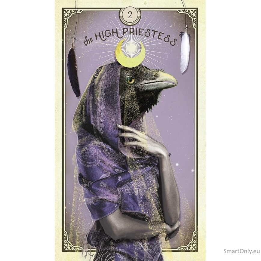 The Tarot of Curious Creatures kortos Hay House 3 The Tarot of Curious Creatures kortos Hay House 3