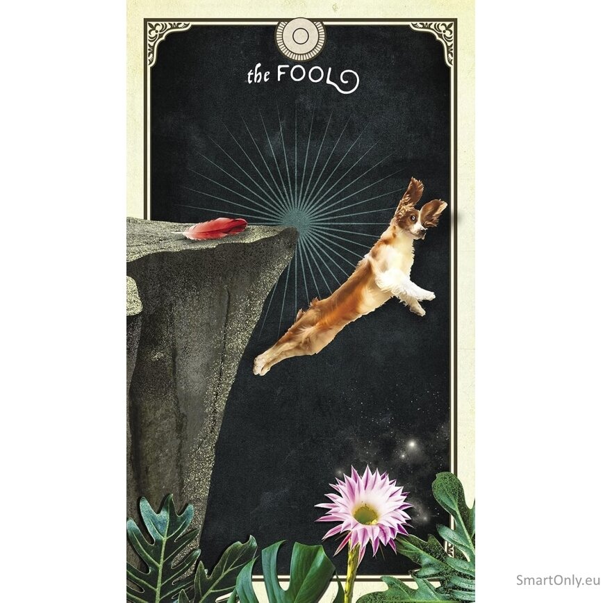 The Tarot of Curious Creatures kortos Hay House 4 The Tarot of Curious Creatures kortos Hay House 4