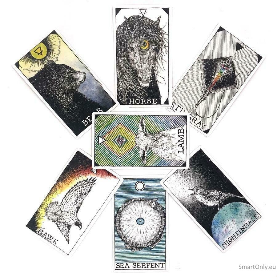 The Wild Unknown Animal Spirit Oracle kortų ir knygos rinkinys Harper One 6