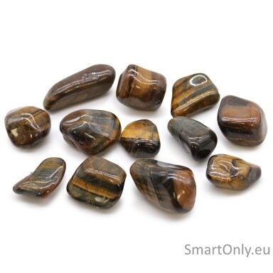tigro-akis-marga-12-vnt-m-dydzio-ancient-wisdom-1