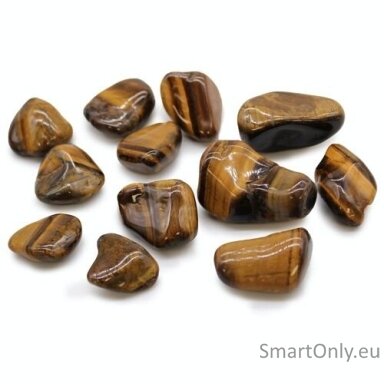 tigro-akis-marga-12-vnt-m-dydzio-ancient-wisdom