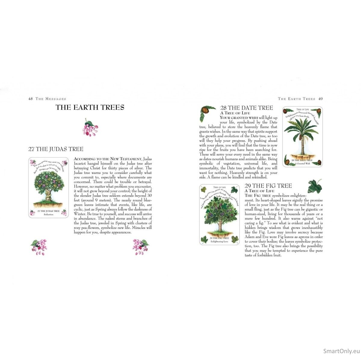 Tree Magick Oracle kortos Cico Books 3