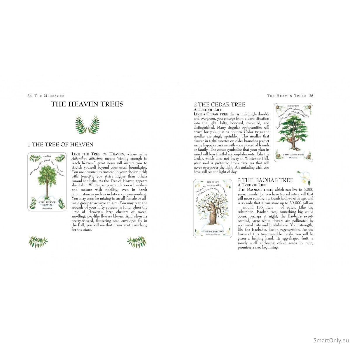 Tree Magick Oracle kortos Cico Books 1 Tree Magick Oracle kortos Cico Books 1