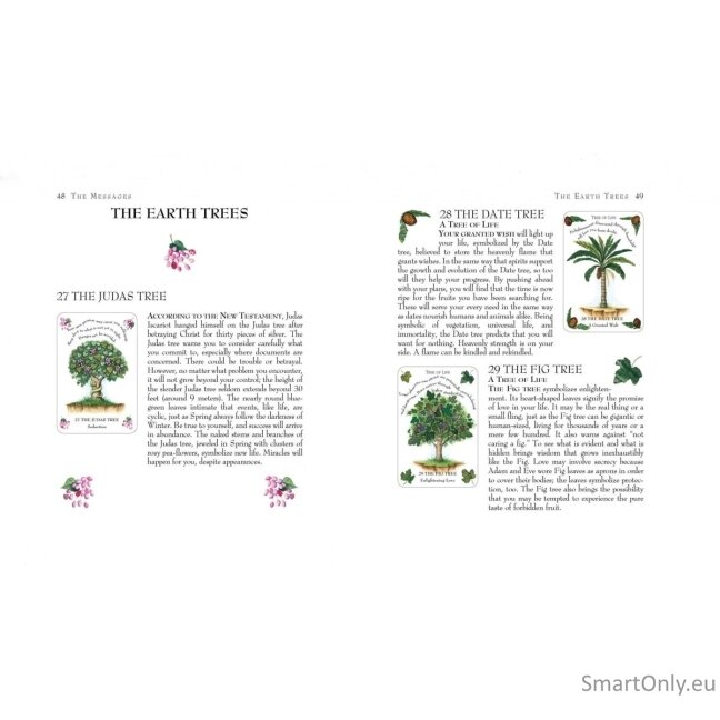 Tree Magick Oracle kortos Cico Books 3
