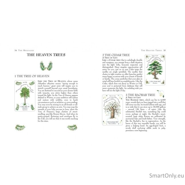 Tree Magick Oracle kortos Cico Books 1 Tree Magick Oracle kortos Cico Books 1