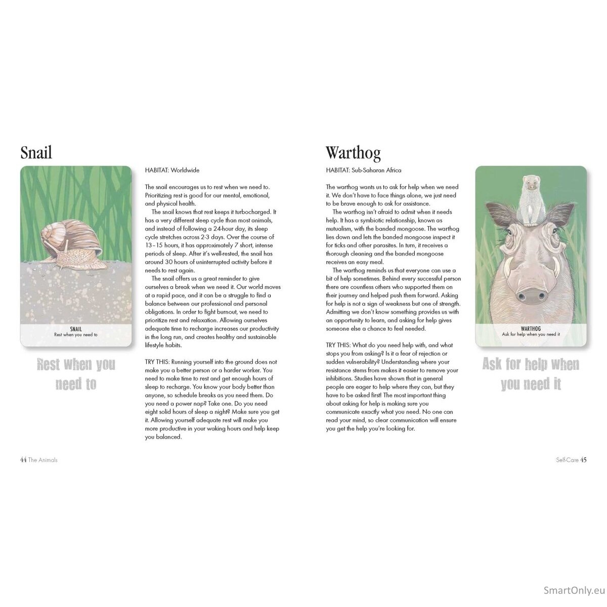 Unusual Animal Messages Oracle kortos Cico Books 4 Unusual Animal Messages Oracle kortos Cico Books 4