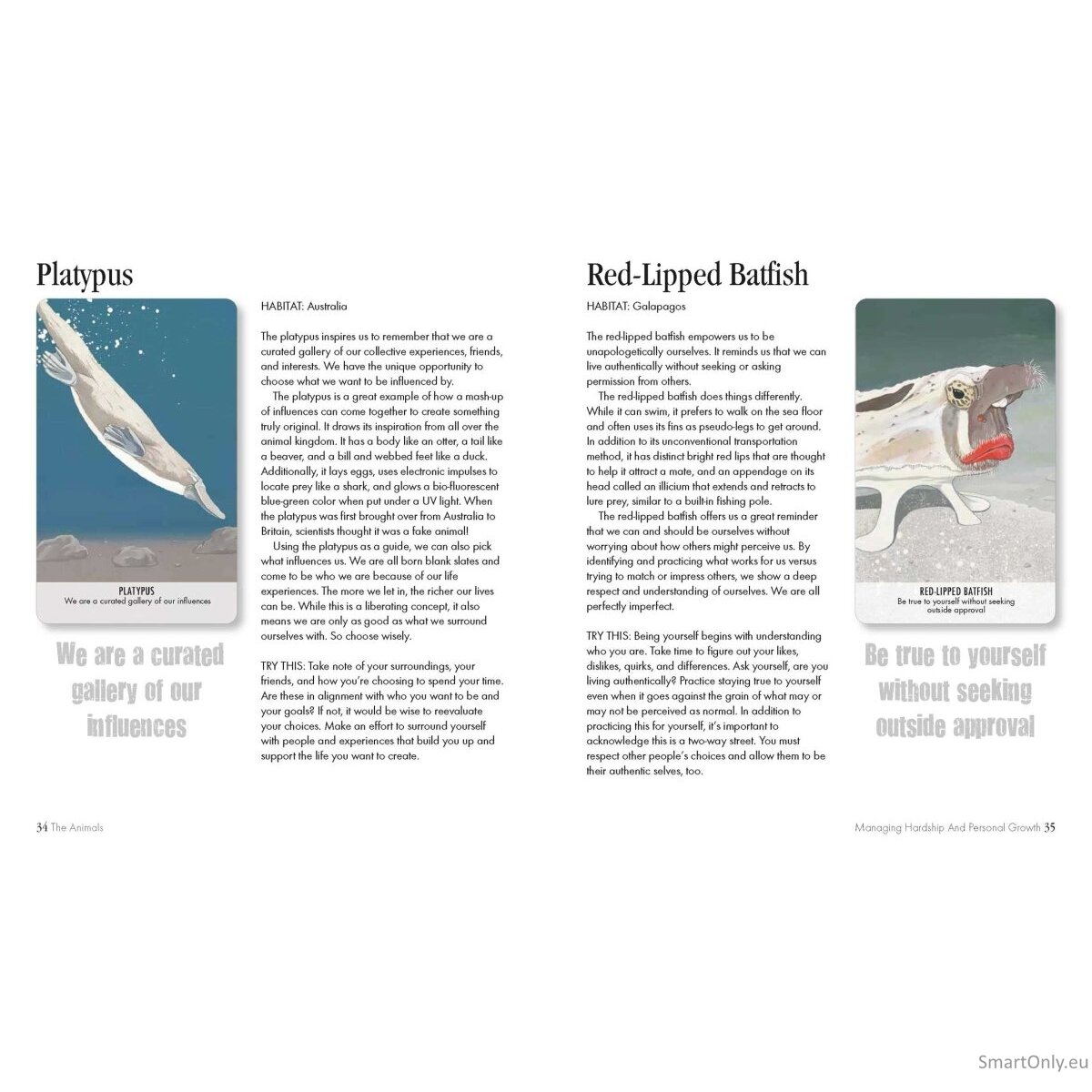 Unusual Animal Messages Oracle kortos Cico Books 6 Unusual Animal Messages Oracle kortos Cico Books 6