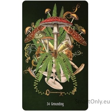 unlocking-the-secret-garden-oracle-kortos-us-games-systems