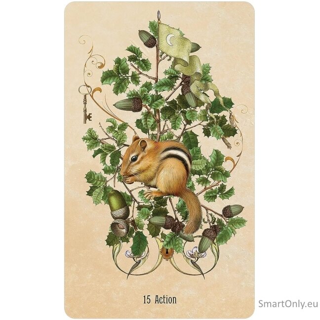 Unlocking the Secret Garden Oracle kortos US Games Systems 2 Unlocking the Secret Garden Oracle kortos US Games Systems 2