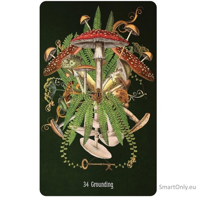 Unlocking the Secret Garden Oracle kortos US Games Systems 1 Unlocking the Secret Garden Oracle kortos US Games Systems 1