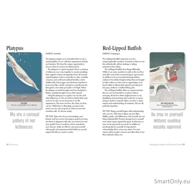 Unusual Animal Messages Oracle kortos Cico Books 6 Unusual Animal Messages Oracle kortos Cico Books 6