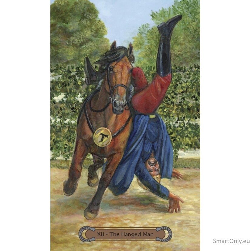 Unbridled Spirit Taro kortos Llewellyn 3 Unbridled Spirit Taro kortos Llewellyn 3