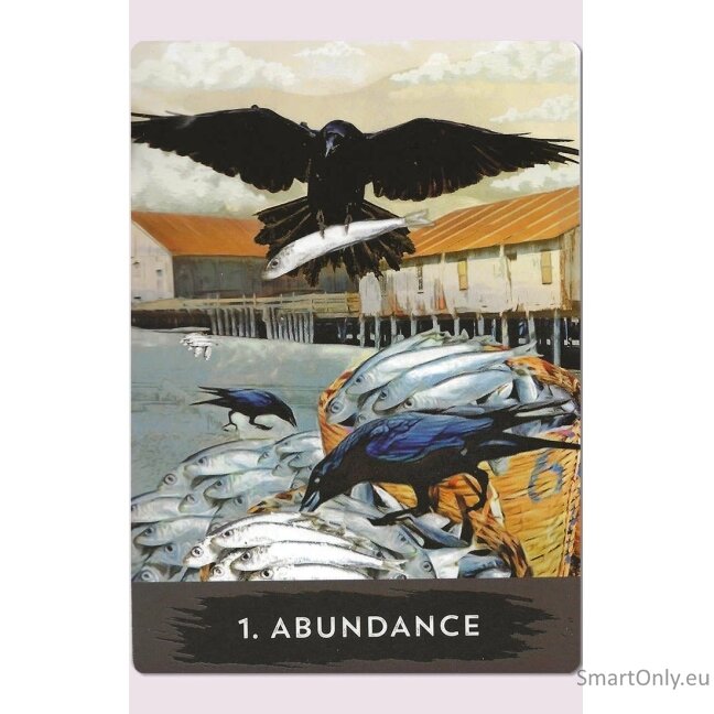Urban Crow Oracle kortos Hay House 1