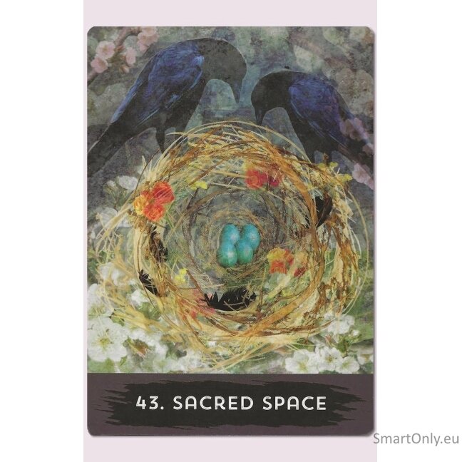 Urban Crow Oracle kortos Hay House 5 Urban Crow Oracle kortos Hay House 5
