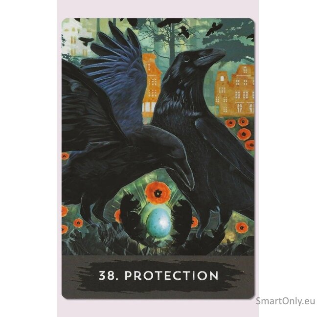 Urban Crow Oracle kortos Hay House 7 Urban Crow Oracle kortos Hay House 7