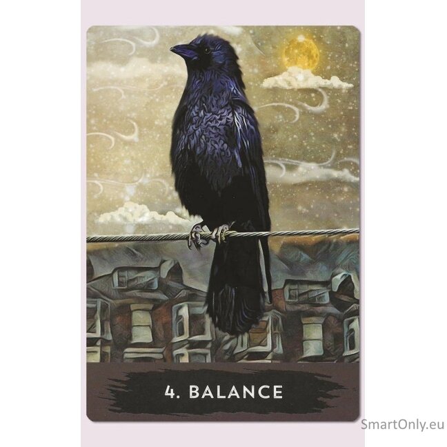 Urban Crow Oracle kortos Hay House 8