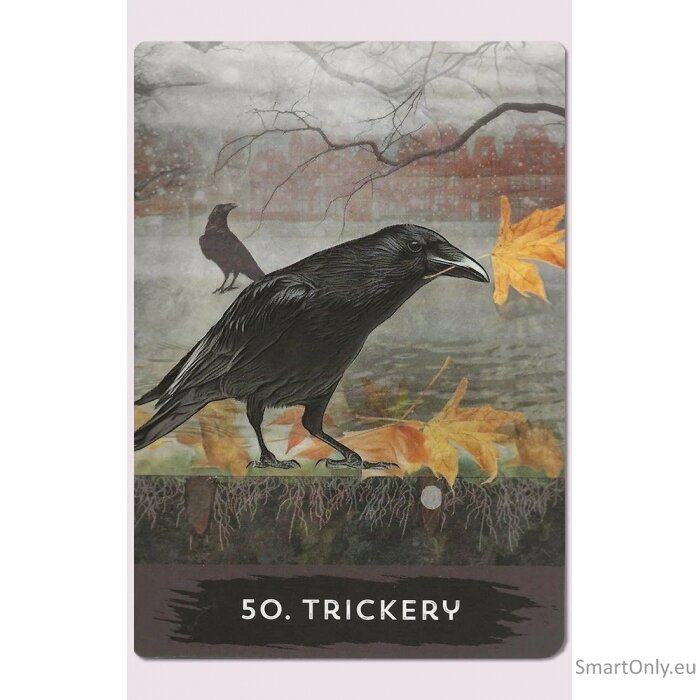 Urban Crow Oracle kortos Hay House 2