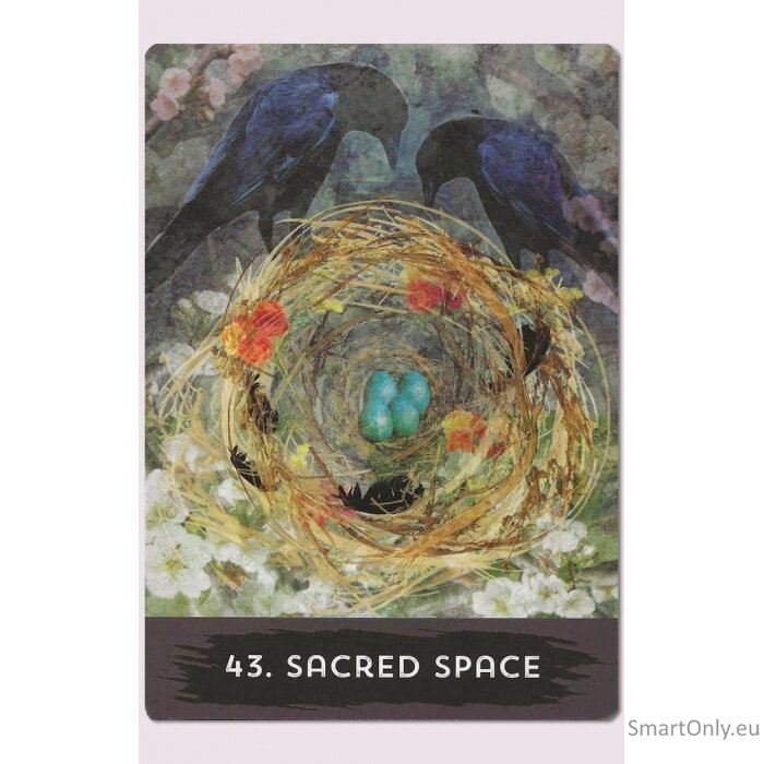 Urban Crow Oracle kortos Hay House 5 Urban Crow Oracle kortos Hay House 5