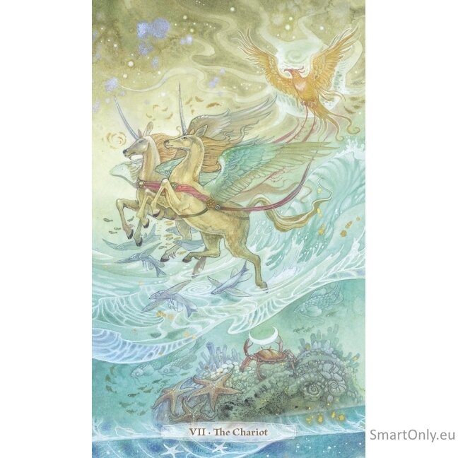 Verdance Tarot Kortos Llewellyn 2 Verdance Tarot Kortos Llewellyn 2