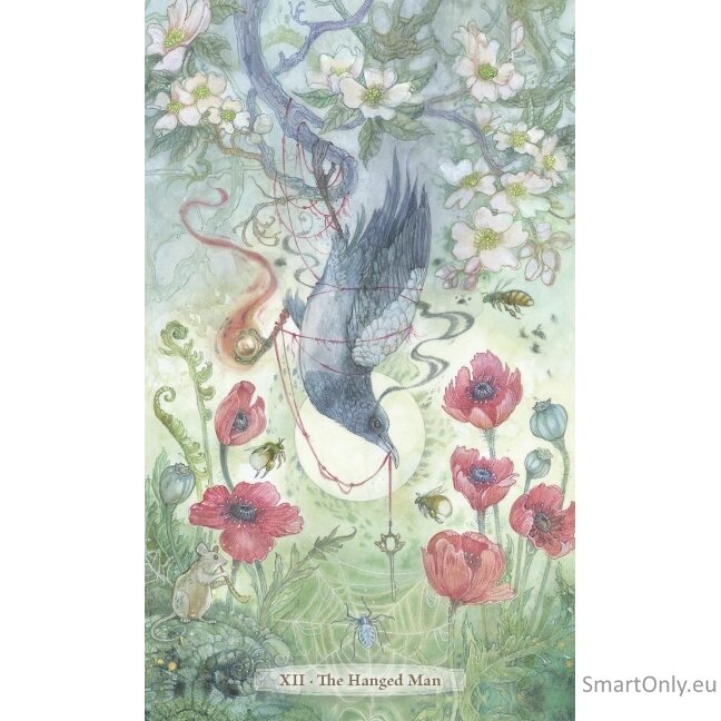 Verdance Tarot Kortos Llewellyn 3 Verdance Tarot Kortos Llewellyn 3
