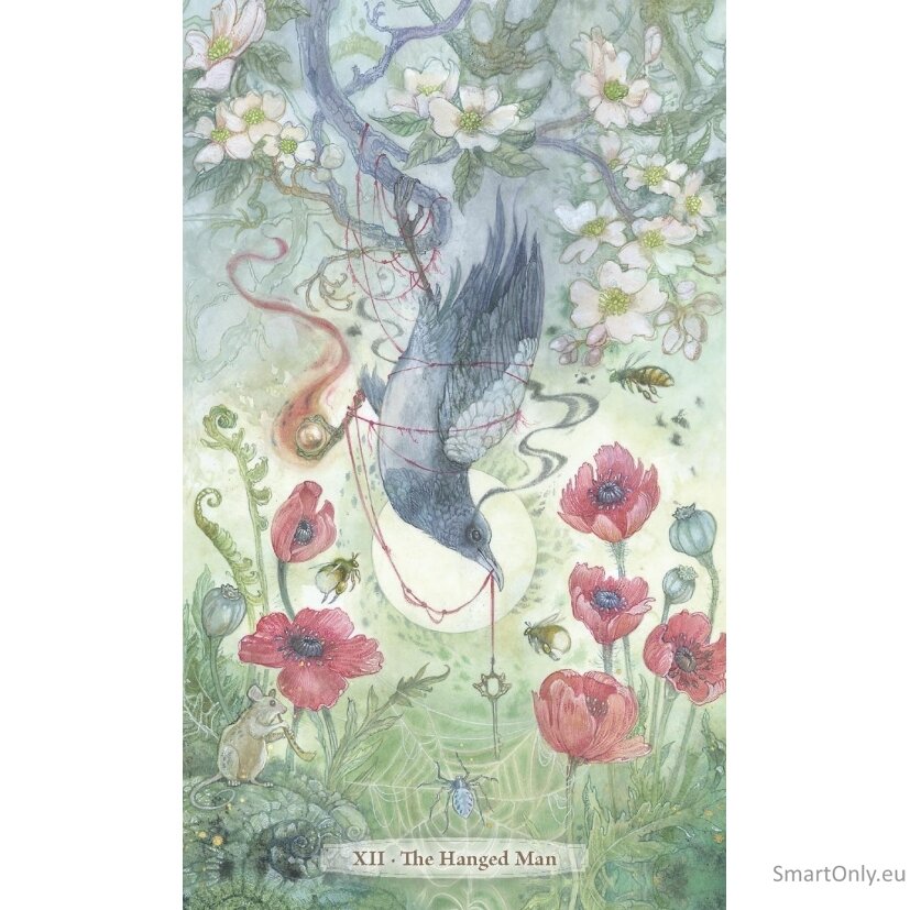 Verdance Tarot Kortos Llewellyn 3 Verdance Tarot Kortos Llewellyn 3