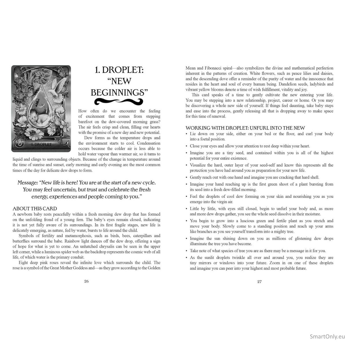 Water Alchemy Oracle kortos Findhorn Press 8 Water Alchemy Oracle kortos Findhorn Press 8