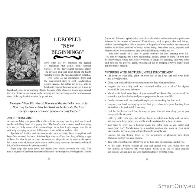Water Alchemy Oracle kortos Findhorn Press 8 Water Alchemy Oracle kortos Findhorn Press 8
