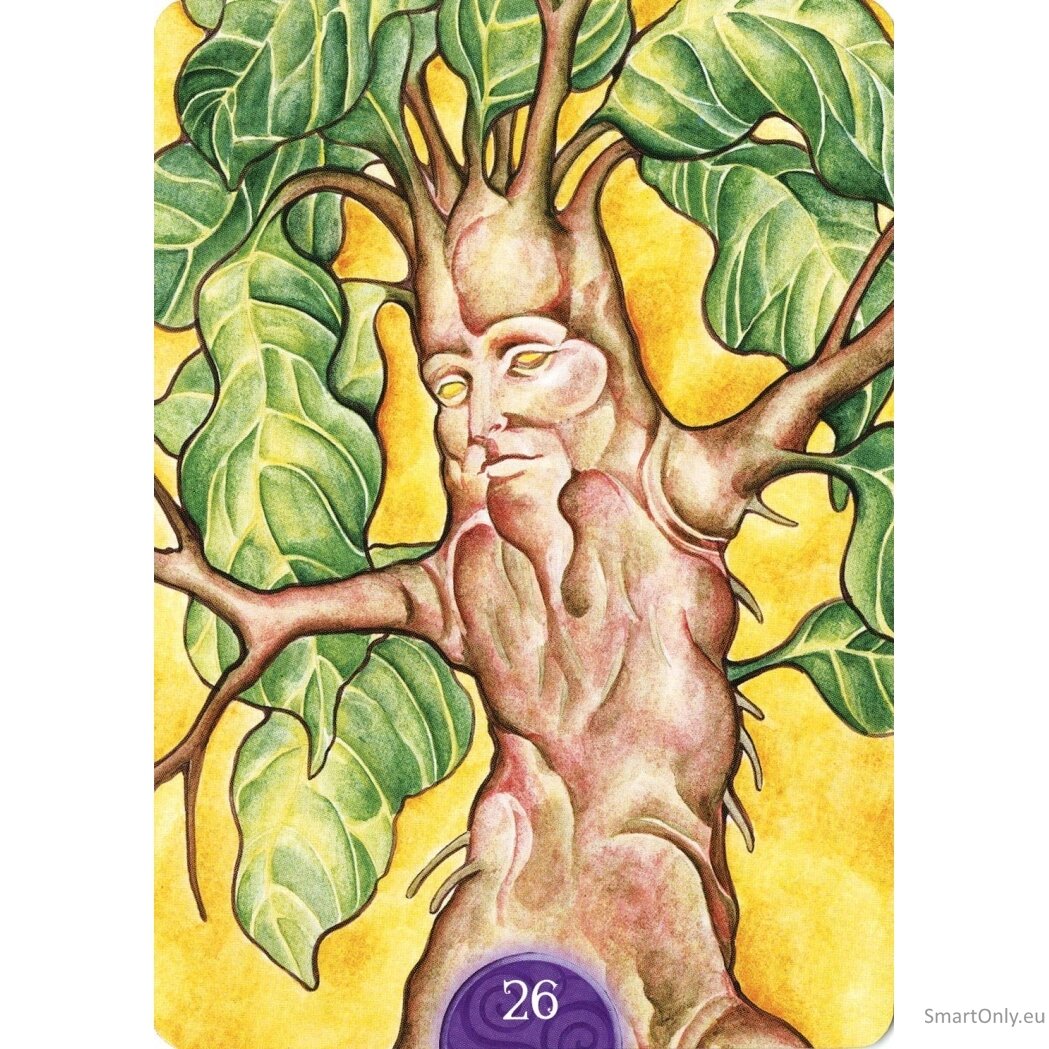 Wicca Oracle Kortos Lo Scarabeo 6 Wicca Oracle Kortos Lo Scarabeo 6